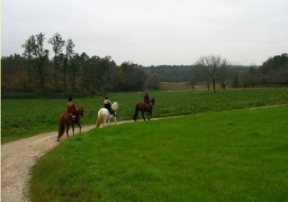 Alla scoperta del Perigord Verde a cavallo 